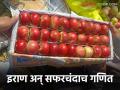 इराणमधील युद्धजन्य परिस्थितीचा महाराष्ट्राच्या सफरचंदाच्या मार्केटवर कसा परिणाम होतोय?  - Marathi News | Latest News How is the war-like situation in Iran affecting Maharashtra's apple market | Latest agriculture News at Lokmat.com