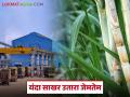 यंदाच्या गाळपात रिकव्हरी अर्थात साखर उतारा जेमतेम; काय दरांनी मिळतील उसाची बिले? - Marathi News | This year's crushing recoverysugar extraction is minimal; at what rates will sugarcane bills be received? | Latest agriculture News at Lokmat.com