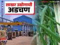 देशातील साखर उद्योग अडचणीत; साखर उद्योगाचे पुढील दहा वर्षांसाठीचे धोरण केंद्राकडे सुपूर्त - Marathi News | The country's sugar industry is in trouble; The sugar industry's policy for the next ten years has been handed over to the Center | Latest agriculture News at Lokmat.com