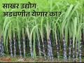 Sugar Factory : आगामी गळीत हंगामापूर्वी साखरेच्या 'एमएसपी'त होणार का वाढ; विस्मा'ने काय केली मागणी ? वाचा सविस्तर - Marathi News | Sugar Factory: Why there will be an increase in MSP of sugar before the upcoming fall season; What did Wisma demand? Read in detail | Latest agriculture News at Lokmat.com