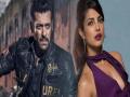 प्रियंका 'भारत' सोडल्याने सलमान खान संतापला, घेतला हा मोठा निर्णय? - Marathi News | Salman Khan angry on Priyanka Chopra for quitting Bharat | Latest filmy News at Lokmat.com
