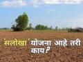Salokha Scheme : शेतजमिनीचा वाद संपवणारी ‘सलोखा’ योजना आहे तरी काय? - Marathi News | | Latest agriculture News at Lokmat.com