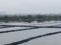 मुंबई महानगर वाचवायचे असेल तर मिठागरे हवीतच! - Marathi News | If you want to save Mumbai metropolis, you need salt pans! | Latest editorial News at Lokmat.com