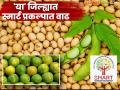 Agriculture Smart Project : जालना जिल्ह्यात २८ स्मार्ट प्रकल्प, मोसंबी ग्रिडिंग प्रकल्पांची संख्या सर्वाधिक - Marathi News | Agriculture Smart Project: latest news 28 smart projects in Jalna district, Mosambi Gridding has the highest number of projects | Latest agriculture News at Lokmat.com