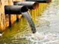 सांडपाणी पिण्यायोग्य करणारा स्पंज - Marathi News | Sponge that makes wastewater drinkable | Latest kolhapur News at Lokmat.com