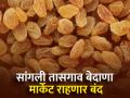 बेदाण्याचे सौदे 'झिरो पेमेंट' साठी बंद राहणार - Marathi News | Bedana raisins deals will be closed for 'Zero Payment' | Latest agriculture News at Lokmat.com