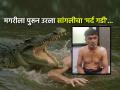 व्वा रं पठ्ठ्या !! मगरीनं अचानक येऊन त्याचं डोकं जबड्यात धरलं, पण धाडसाने वाचवले स्वत:चे प्राण - Marathi News | Bravely escapes from crocodile jaws Swimmer from Sangli attacked by crocodile in Sangliwadi | Latest sangli News at Lokmat.com