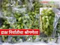 Draksha Niryat : सांगली जिल्ह्यातून द्राक्ष निर्यातीचा श्रीगणेशा; आखाती देशात नऊ कंटेनर रवाना - Marathi News | Draksha Niryat : Grape export from Sangli district begins; Nine containers sent to Gulf countries | Latest agriculture News at Lokmat.com