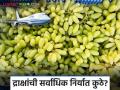 Draksh Niryat : सांगली जिल्ह्यातून ३६०० टन द्राक्षांची निर्यात; कोणत्या वाणांच्या द्राक्षांना सर्वाधिक मागणी? वाचा सविस्तर - Marathi News | Draksh Niryat : 3600 tons of grapes exported from Sangli district; Which varieties of grapes are in highest demand? Read in detail | Latest agriculture News at Lokmat.com
