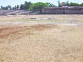सांगली महापालिकेच्या दुर्लक्षामुळे टर्फ विकेट गायब - Marathi News | Surf wickets disappeared due to ignorance of Sangli Municipal Corporation | Latest sangli News at Lokmat.com