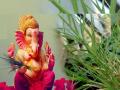ganesh chaturthi 2022: भाजीपेक्षा दुर्वांचा भाव जास्त, पाना-फुलांनाही मोठी मागणी - Marathi News | the price of Durva increased more than that of vegetables in Ganeshotsav | Latest sangli News at Lokmat.com
