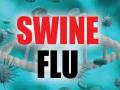 Swine flu: सांगली जिल्ह्यात स्वाईन फ्ल्यूच्या रुग्णांत वाढ, आतापर्यंत तिघांचा मृत्यू - Marathi News | Increase in swine flu patients in Sangli district, three death | Latest sangli News at Lokmat.com