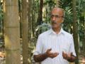 कुळागर फुलवणाऱ्या गोव्याच्या शेतकऱ्याला पद्मश्री - Marathi News | padma shri to the farmer sanjay patil of goa who flowered kulagar | Latest goa News at Lokmat.com