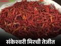 Sankeshwari Mirchi Bajar Bhav : नांदेडच्या संकेश्वरी मिरचीची गडहिंग्लज मार्केटला हवा; कसा मिळाला दर? - Marathi News | Sankeshwari Mirchi Bajar Bhav : Nanded's Sankeshwari chilli is in demand in Gadhinglaj market; How did you get the price? | Latest agriculture News at Lokmat.com