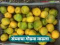 मागणीच्या तुलनेत आवक कमी होत असल्याने संत्र्याच्या दरात वाढ; वाचा काय मिळतोय दर? - Marathi News | Orange prices increase as supply falls short of demand; Read What is the price? | Latest agriculture News at Lokmat.com