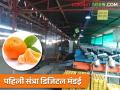 संत्रा डिजिटल मंडईत दिवसाला 100 टन संत्री विकली जात आहेत, नेमकं कारण काय? - Marathi News | Latest News Country's first orange digital market in amravati is beneficial for farmers | Latest agriculture News at Lokmat.com