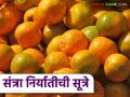 Orange Export : युरोपियन बाजारपेठेत संत्रा निर्यातीसाठी कसे हवे फळ? काय कराल उपाययोजना - Marathi News | Orange Export : How to export oranges to the European market? What measures will you take? | Latest agriculture News at Lokmat.com