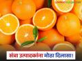 Orange Grower : शेतकऱ्यांसाठी मोठा दिलासा! महामंडळाला मिळणार काटोल कारखान्याचा ताबा - Marathi News | latest news Orange Grower: Big relief for farmers! Corporation will get control of Katol factory | Latest agriculture News at Lokmat.com
