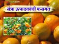 Organic Fertilizer : सेंद्रीय खत विक्रेत्याचा गोरखधंदा बंद होणार का? काय आहे प्रकरण वाचा सविस्तर - Marathi News | Organic Fertilizer: Will the organic fertilizer seller's racket be stopped? Read the case in detail | Latest agriculture News at Lokmat.com