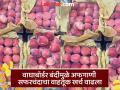 समुद्र ओलांडून अफगाणी सफरंचद पुण्यात दाखल; तुलनेत १०० ते २०० रुपयांनी वाढ - Marathi News | pune news afghan migrants arrive in Pune across the sea; increase by Rs 100 to Rs 200 compared to last year | Latest pune News at Lokmat.com