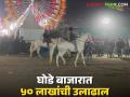 Sarangkheda Yatra : सारंगखेडा यात्रेत 137 घोड्यांची विक्री, दोन दिवसांत तब्बल 55 लाखांची उलाढाल  - Marathi News | Latest News Agriculture News 137 horses sold in Sarangkheda Yatra, turnover of Rs 55 lakhs in two days | Latest agriculture News at Lokmat.com