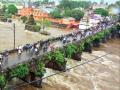 जलसंकट ! पूर ओसरू लागला पण धास्ती कायम - Marathi News | Flood started to flood but fear continued! in satara | Latest satara News at Lokmat.com