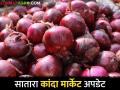 Kanda Bajar Bhav : सातारा बाजार समितीत कांद्याच्या दरात चांगली वाढ.. कसा मिळतोय दर - Marathi News | Kanda Bajar Bhav : increase in onion price in Satara Market Committee.. How is the price getting? | Latest agriculture News at Lokmat.com