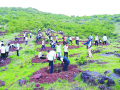 माळरान भकास.. रोपांनी होणार झकास; राजमाची शिवारात वृक्षारोपण - Marathi News | Planting plants will occur; Plantation at the palace of Rajamachi | Latest satara News at Lokmat.com