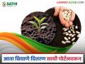 येत्या खरीप हंगामापासून सर्व प्रकारच्या बियाण्याची विक्री साथी पोर्टलवरून; वाचा सविस्तर - Marathi News | From the upcoming Kharif season, all types of seeds will be sold through Sathi portal; Read in detail | Latest agriculture News at Lokmat.com