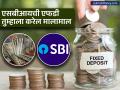 SBI मध्ये ४४४ दिवसांच्या FD मध्ये ₹२,००,००० जमा केले तर मॅच्युरिटीवर किती रुपये मिळणार; पटापट पाहा कॅलक्युलेशन - Marathi News | If you deposit rs 200000 in a 444 day FD in SBI how much will you get at maturity See the calculation quickly | Latest business News at Lokmat.com