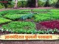 School Garden : श्रमदान, स्वखर्चातून फुलली परसबाग; मिळणार मुलांना चविष्ट भाजी कशी ते वाचा सविस्तर - Marathi News | School Garden : Read in detail how to get tasty vegetables for children | Latest agriculture News at Lokmat.com