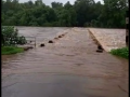 कणकवली तालुक्यात पावसाचा कहर ! कणकवली-आचरा रस्त्यावर पाणी - Marathi News | Rainstorm in Kankavli taluka! Water on Kankavali-Achra road | Latest sindhudurga News at Lokmat.com
