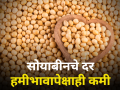 सोयाबीनचे दर हमीभावापेक्षाही कमी! जाणून घ्या आजचे दर - Marathi News | maharashtra agriculture farmer soybean rate market yard market price | Latest agriculture News at Lokmat.com
