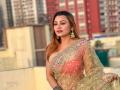 ब्लू टीक स्कॅममधून अभिनेत्रीला घातला गंडा - Marathi News | Blue Teak Scam to the Actress karishma kar | Latest crime News at Lokmat.com