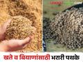 बोगस खत, बियाणे विकल्यास विक्रेत्यावर होईल फौजदारी - Marathi News | Selling bogus fertiliser, seeds will result in criminal charges against the seller | Latest agriculture News at Lokmat.com