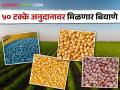 Kharif Seed On Subsidy शेतकऱ्यांना मिळणार अनुदानावर बियाणे; वाचा कुठे करायचा अर्ज - Marathi News | Kharif Seed On Subsidy Farmers will get seeds on subsidy; Read where to apply | Latest agriculture News at Lokmat.com