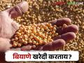 Kharif Seed शेतकऱ्यांनो बियाणे खरेदी करण्यापूर्वी अशी घ्या काळजी - Marathi News | Kharif Seed Farmers should be careful before buying seeds | Latest agriculture News at Lokmat.com