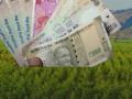 केवळ ३,१५५ शेतकऱ्यांच्या खात्यात बियाणे अनुदानाची रक्कम जमा! - Marathi News | Seed subsidy credited to account of only 3,155 farmers! | Latest akola News at Lokmat.com