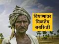 Subsidy: शेतकरी बांधवांनो, अनुदानावर बियाणे हवेय, मग ‘इथे’ करा संपर्क - Marathi News | Subsidy to farmers on Seeds via 'MahaDBT' portal | Latest agriculture News at Lokmat.com