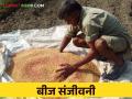 Kharif Bijprakriya खरीप पिकांच्या अधिक उत्पादनासाठी अशी करा बीजप्रक्रिया - Marathi News | Kharif Bijprakriya: For more production of kharif crops, do this type seed treatment | Latest agriculture News at Lokmat.com