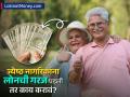 ज्येष्ठ नागरिकांना लोनची गरज पडली तर करावं? 'हे' ४ पर्याय बनू शकतात 'संकटमोचक', जाणून घ्या - Marathi News | what if senior citizens need a loan These 4 options can help in hard situation know details | Latest business News at Lokmat.com