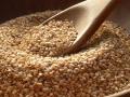 राज्याच्या तिळाच्या बाजारपेठेवर गुजरातची संक्रांत - Marathi News | Gujarat overcome the sesame market of Maharashtra | Latest akola News at Lokmat.com