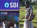 SBI Vs Farmer: शेतकऱ्याला नडला त्याला...! एसबीआयने ३१ पैशांसाठी एनओसी अडविली; उच्च न्यायालयात पोहोचला, पुढे... - Marathi News | SBI Vs Farmer: SBI rejects NOC for 31 paisa Crop Loan Charge; Gujarat Farmer Reached the High Court | Latest national News at Lokmat.com