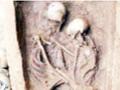 प्रेमाची कथा : मिठी मारली अन् दोघांनी सोडला जीव; चीनमध्ये १५०० वर्षांपूर्वीचे सापडले सांगाडे  - Marathi News | Love story: They hugged each other and left life; Skeletons found in China of 1500 years old pdc | Latest international News at Lokmat.com