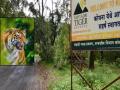 Sangli: सह्याद्री व्याघ्र प्रकल्पात वाघाची डरकाळी, ६० मचाणांवर १२० प्रगणकांकडून प्राणिगणना - Marathi News | The number of tigers counted on the night of Buddha Purnima in the Sahyadri Tiger Reserve was gaur 329, and a tiger was spotted | Latest sangli News at Lokmat.com