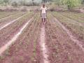 शेतकऱ्यांवर पुन्हा एकदा आंदोलनाची वेळ - Marathi News | Time for agitation on farmers once again | Latest raigad News at Lokmat.com