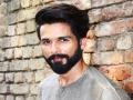 इफ्फीत शाहीद कपूर, कॅटरिना कैफ सहभागी होणार - Marathi News | Iffitt Shahid Kapoor, Katrina Kaif will be participating | Latest goa News at Lokmat.com
