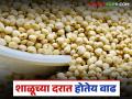 ज्वारीच्या उत्पादनात घट, दरात मात्र दुपटीने वाढ; वाचा शाळू ज्वारीला प्रतिक्विंटल काय दर? - Marathi News | Sorghum production declines, but prices double; Read: What is the price per quintal of sorghum? | Latest agriculture News at Lokmat.com
