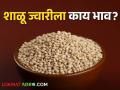 Sorghum Market : कुठल्या ज्वारीला सर्वाधिक भाव मिळाला? वाचा आजचे सविस्तर बाजारभाव  - Marathi News | Latest News 04 may 2024 todays sorghum market price in maharashtra market yards | Latest agriculture News at Lokmat.com