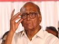 “शरद पवार यांचेच धोरण प्रत्यक्षात खत दरवाढीस कारणीभूत”; भाजपची टीका - Marathi News | bjp keshav upadhye criticises sharad pawar policy actually causes fertilizer price hike | Latest maharashtra News at Lokmat.com